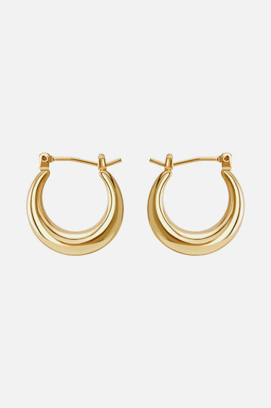 Round Hoop Earrings