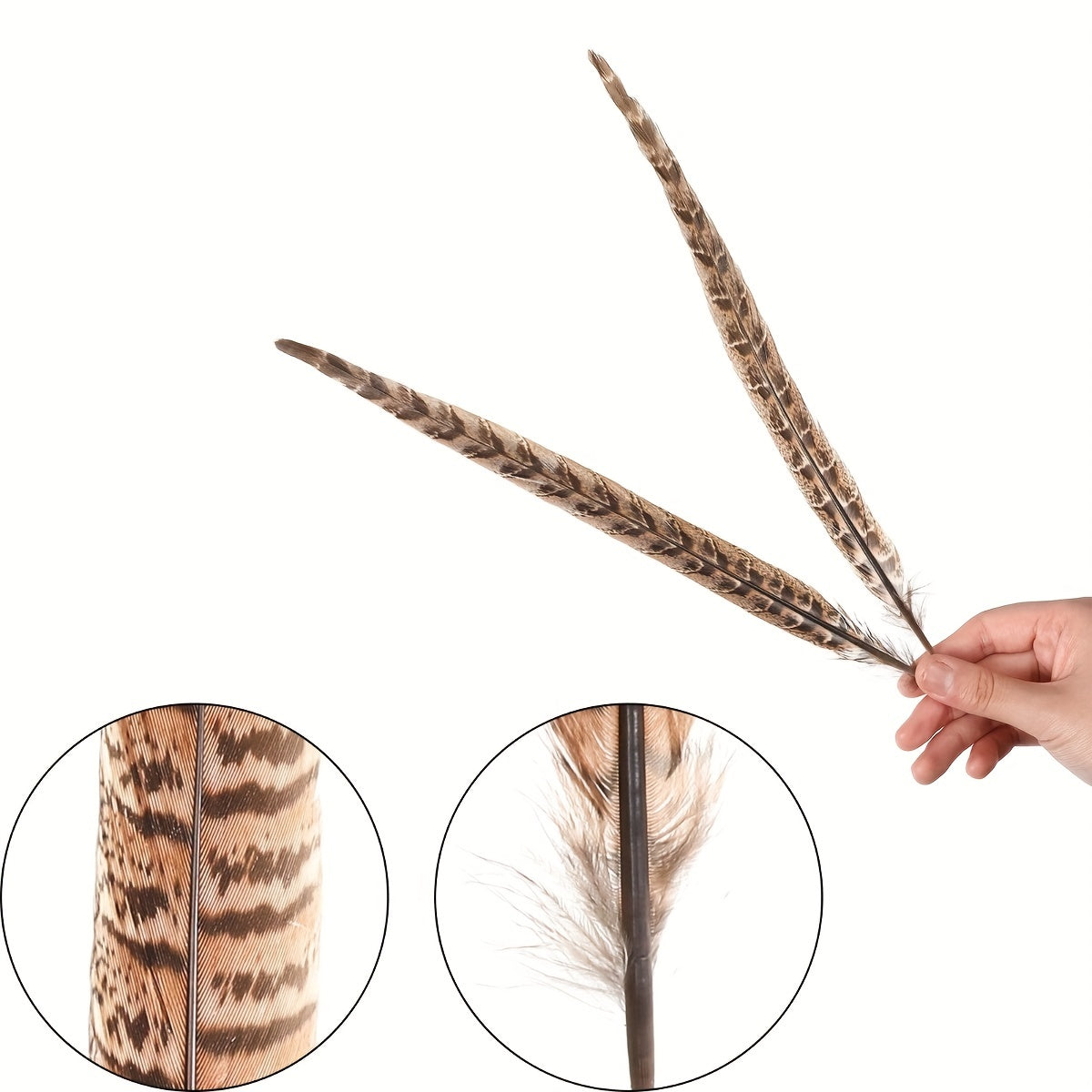 Plumes de faisan naturelles, 10 pièces, queue de faisan 4-9.8 pouces (10-25cm) pour la décoration DIY 