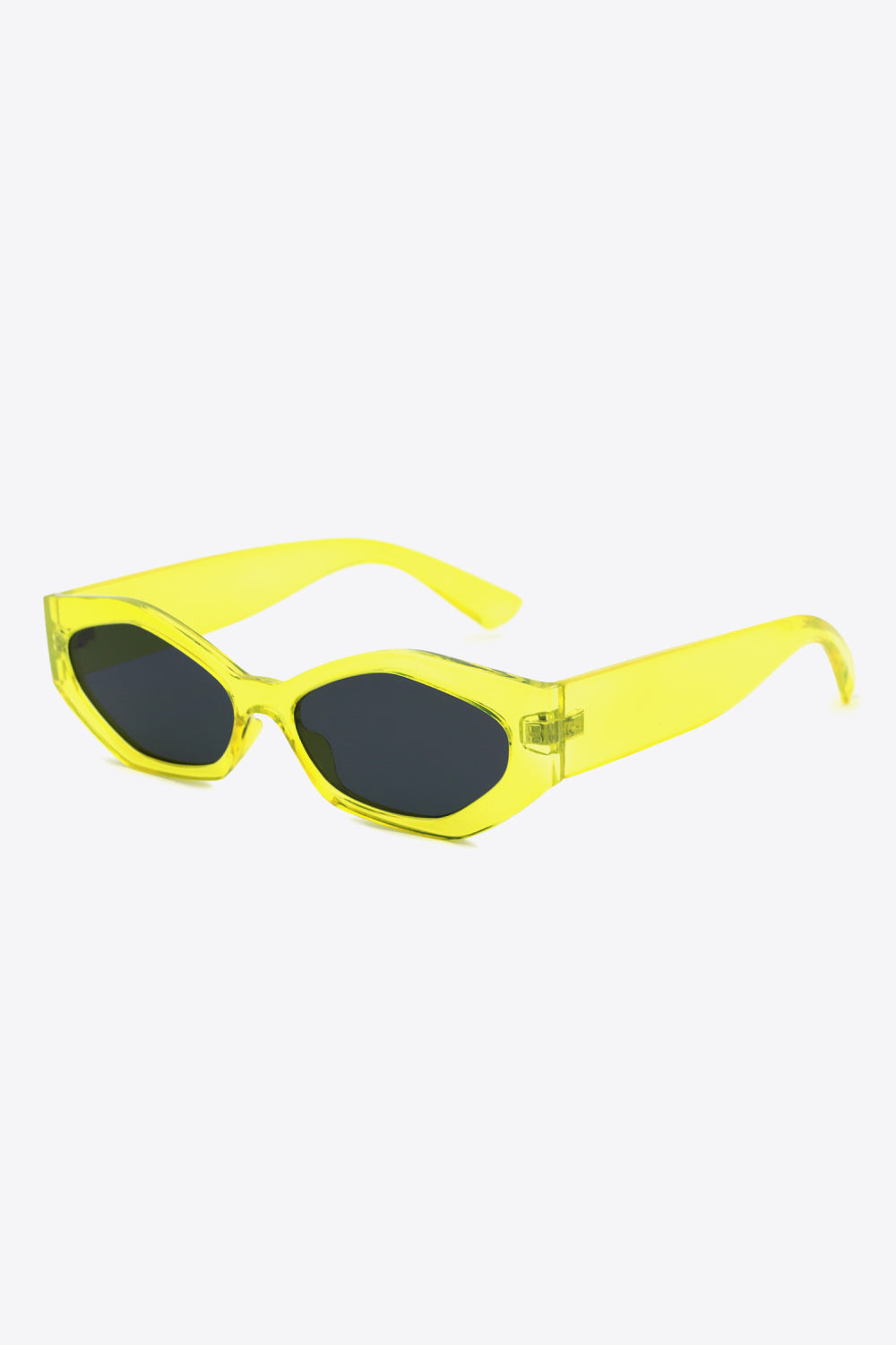 Polycarbonate Frame Wayfarer Sunglasses