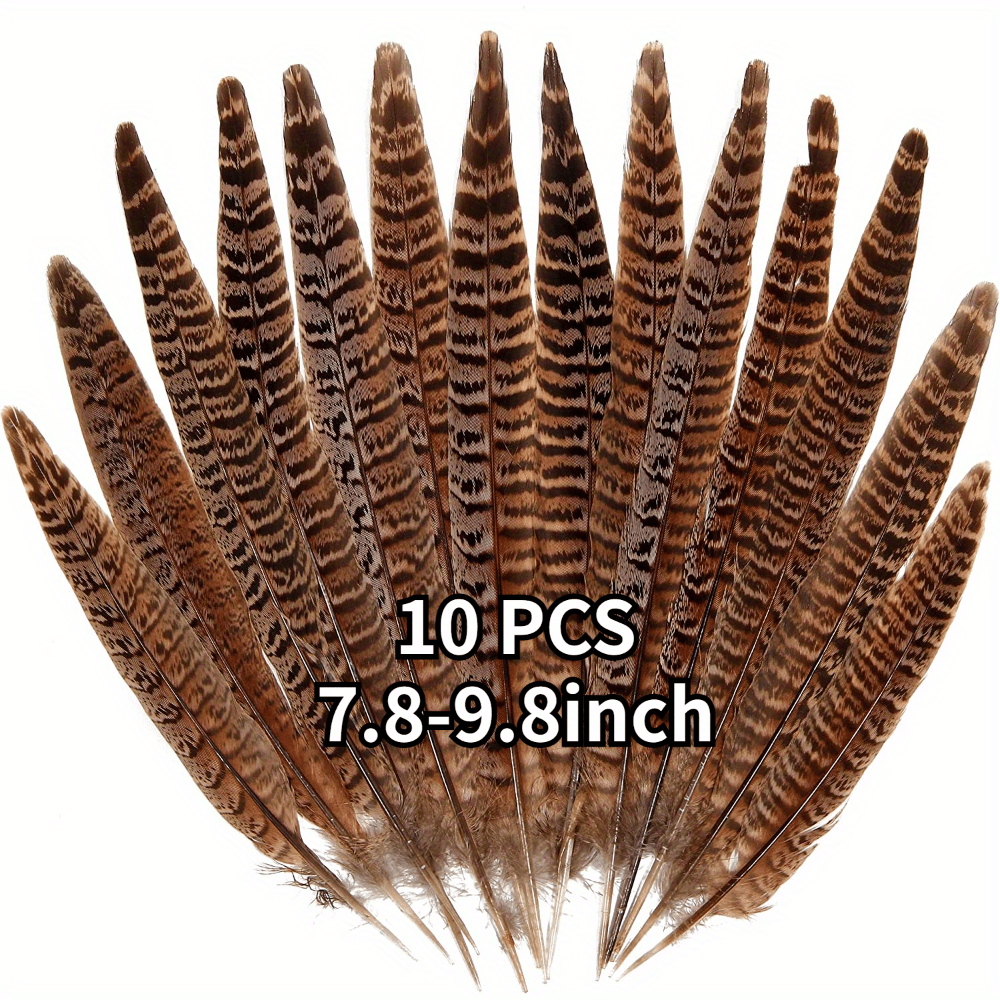 Plumes de faisan naturelles, 10 pièces, queue de faisan 4-9.8 pouces (10-25cm) pour la décoration DIY 