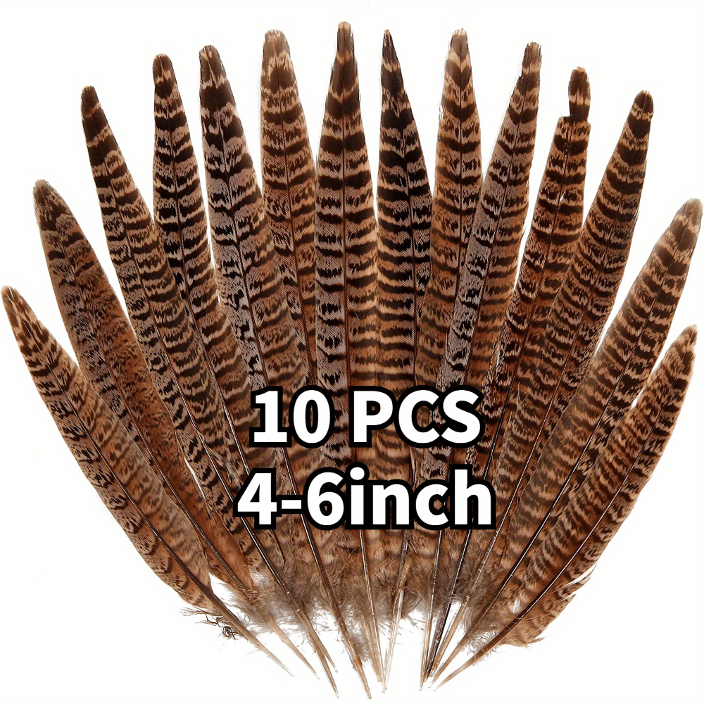 Plumes de faisan naturelles, 10 pièces, queue de faisan 4-9.8 pouces (10-25cm) pour la décoration DIY 