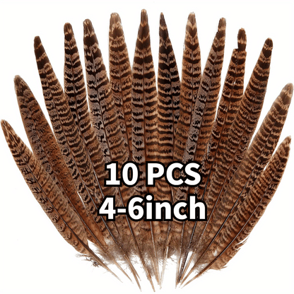 Plumes de faisan naturelles, 10 pièces, queue de faisan 4-9.8 pouces (10-25cm) pour la décoration DIY 