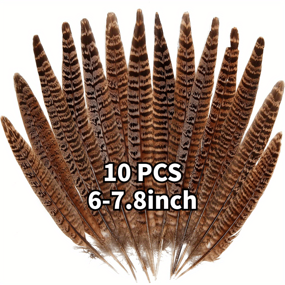 Plumes de faisan naturelles, 10 pièces, queue de faisan 4-9.8 pouces (10-25cm) pour la décoration DIY 