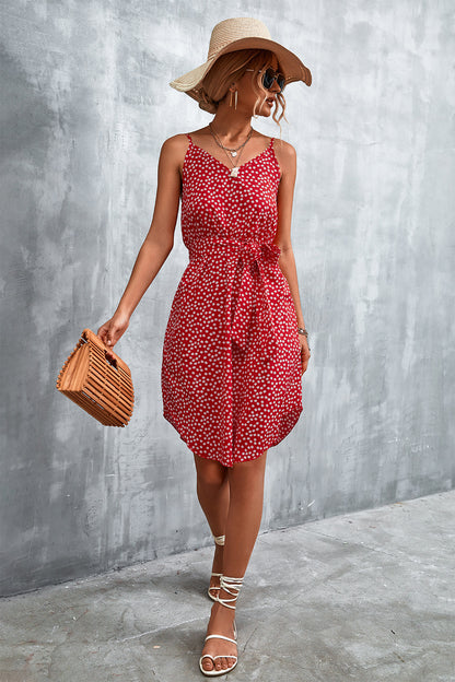 Printed V-Neck Tie Waist Mini Dress