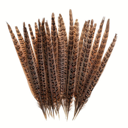 Plumes de faisan naturelles, 10 pièces, queue de faisan 4-9.8 pouces (10-25cm) pour la décoration DIY 