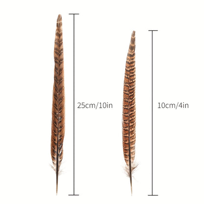 Plumes de faisan naturelles, 10 pièces, queue de faisan 4-9.8 pouces (10-25cm) pour la décoration DIY 